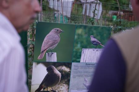 Mirna - praznik 2021, utrinek z rasztave, foto Alenka Strazisar Lamovsek (6)